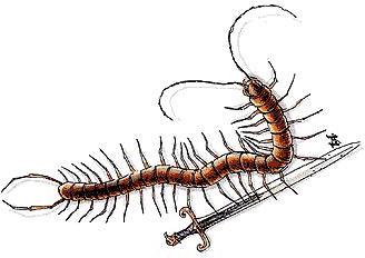 Гигантская многоножка (Giant Centipede)