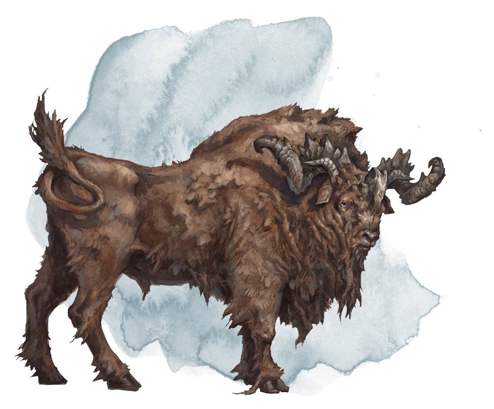 Тур (Aurochs)