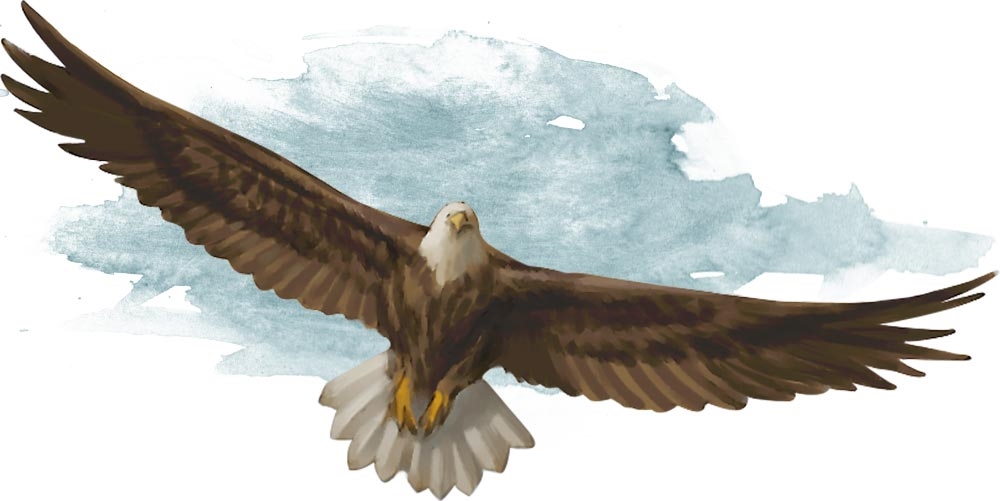 Орёл (Eagle)